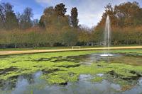 Cjp_2009_10_29_145105 (1)_HDR-D1.jpg